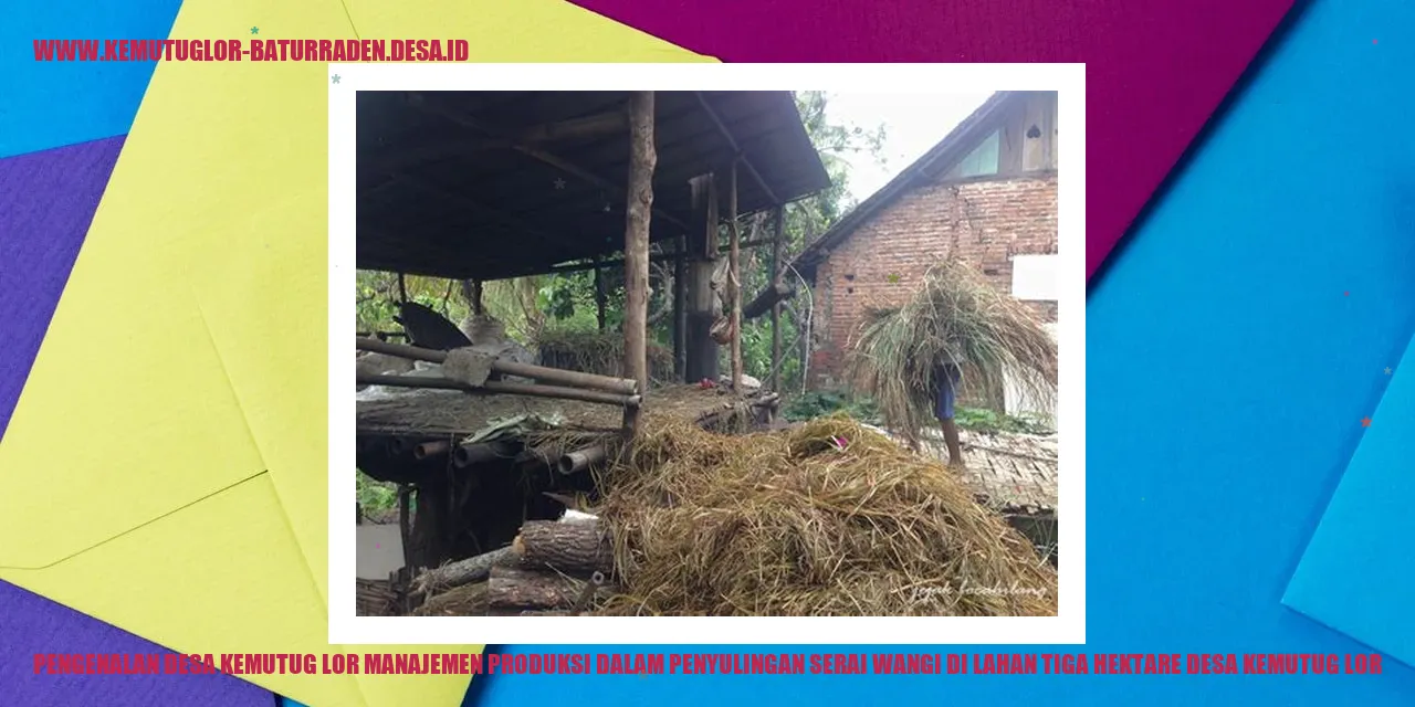 Pengenalan Desa Kemutug Lor Manajemen Produksi dalam Penyulingan Serai Wangi di Lahan Tiga Hektare desa kemutug lor