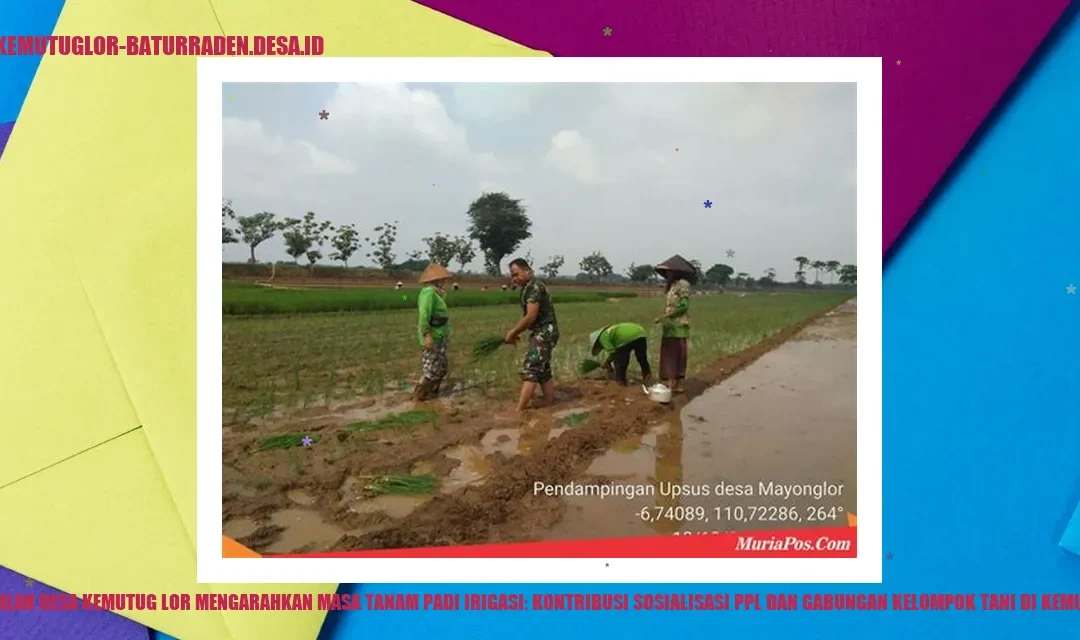 Peran PPL dalam Pengembangan Tanam Padi Irigasi di Kemutug Lor