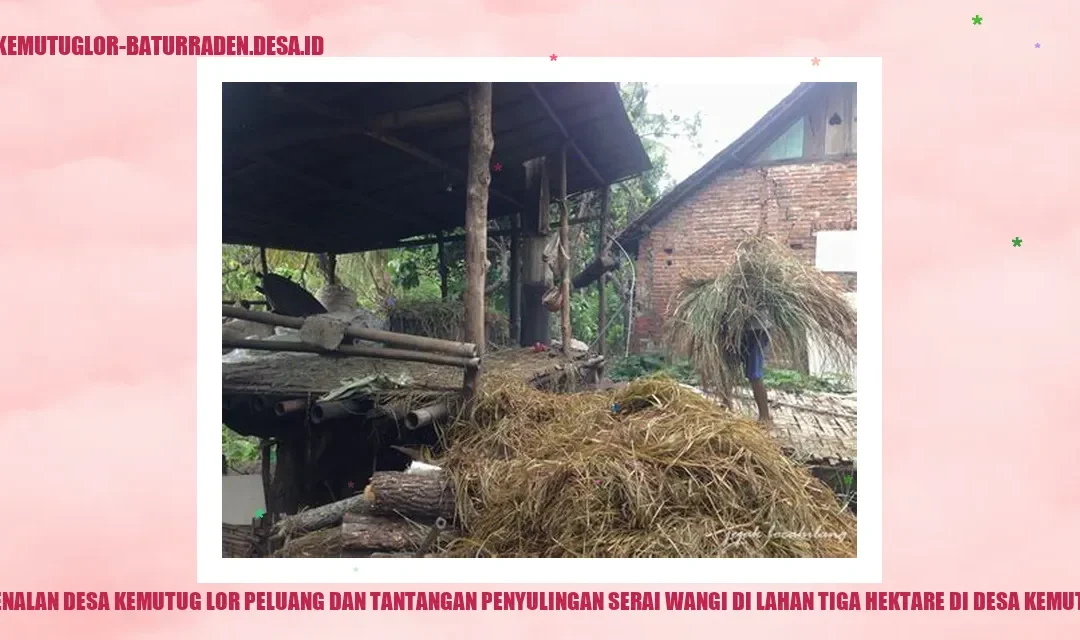 Potensi Serai Wangi Desa Kemutug Lor