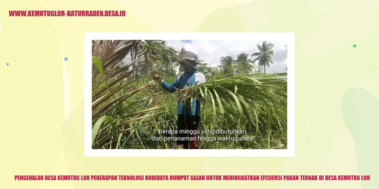 Gambar Desa Kemutug Lor