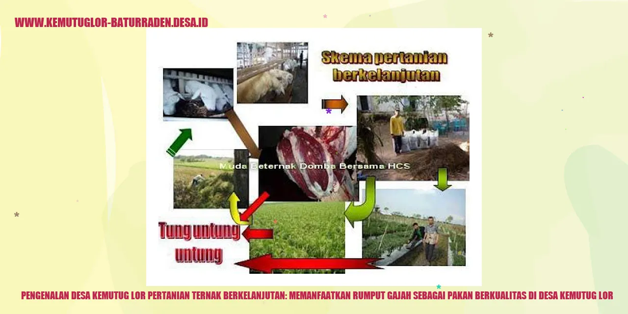 Desa Kemutug Lor