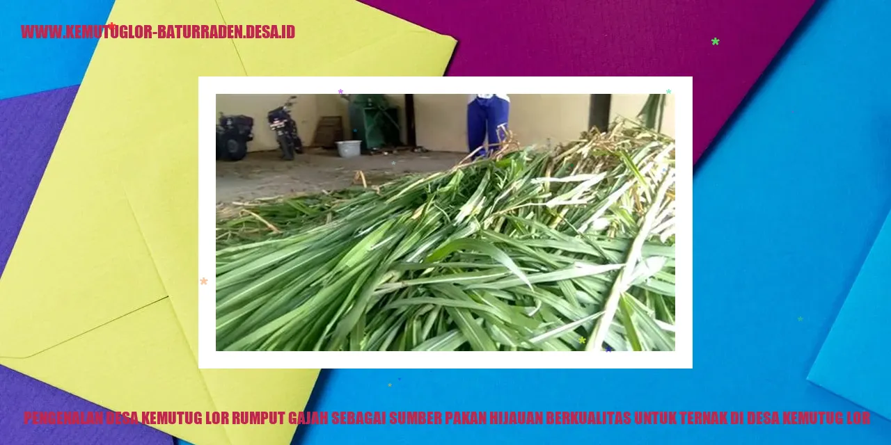 Desa Kemutug Lor Rumput Gajah