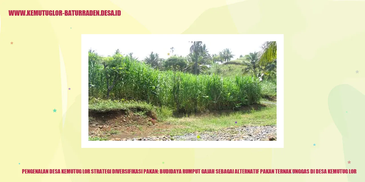 Desa Kemutug Lor