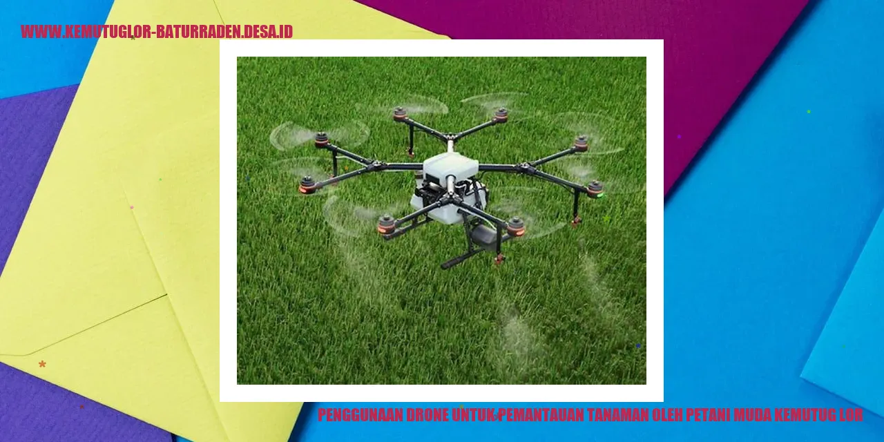 Drone untuk Pemantauan Tanaman oleh Petani Muda Kemutug Lor