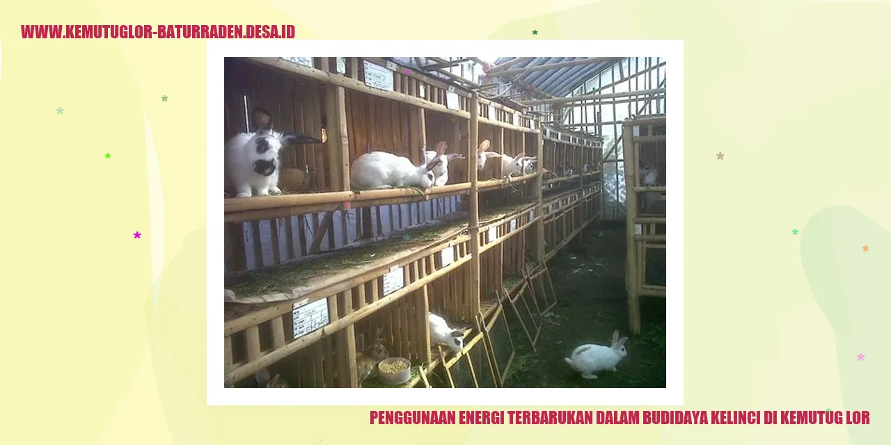 Penggunaan Energi Terbarukan dalam Budidaya Kelinci di Kemutug Lor