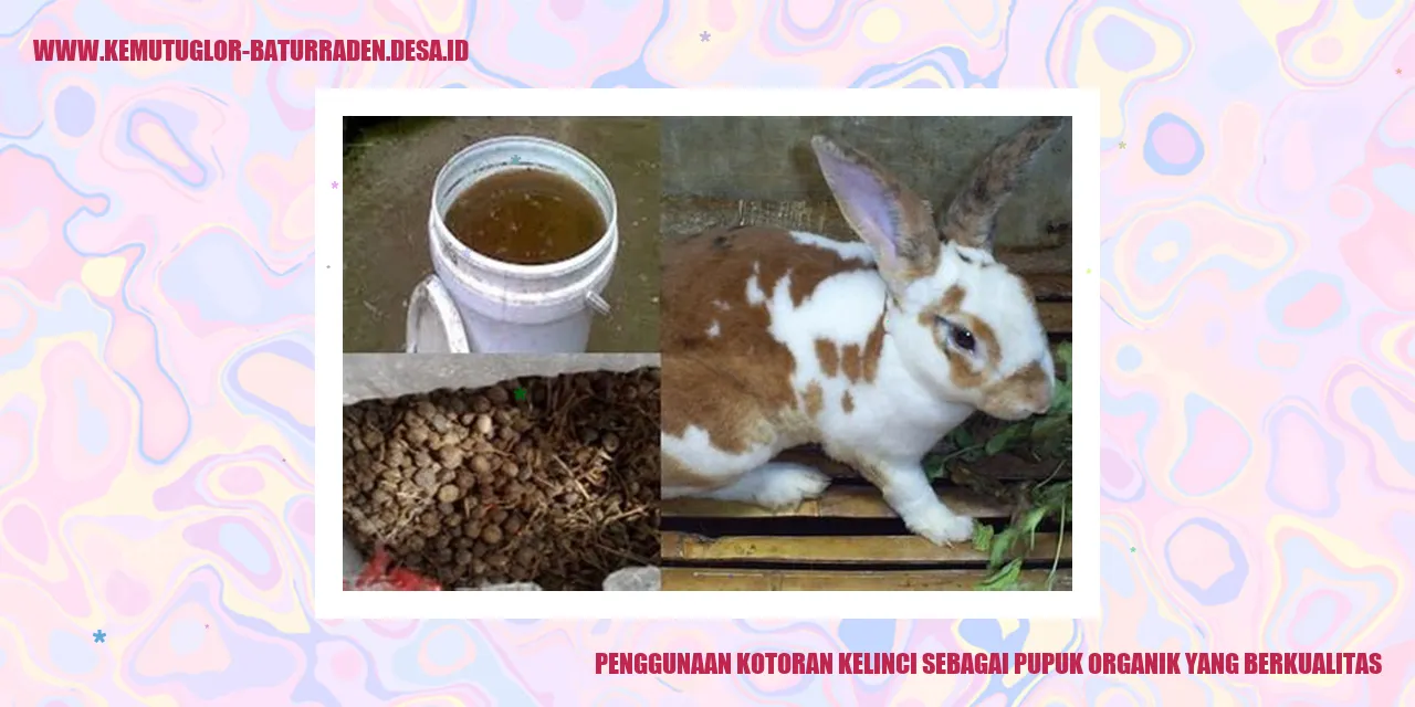 Penggunaan Kotoran Kelinci sebagai Pupuk Organik yang Berkualitas