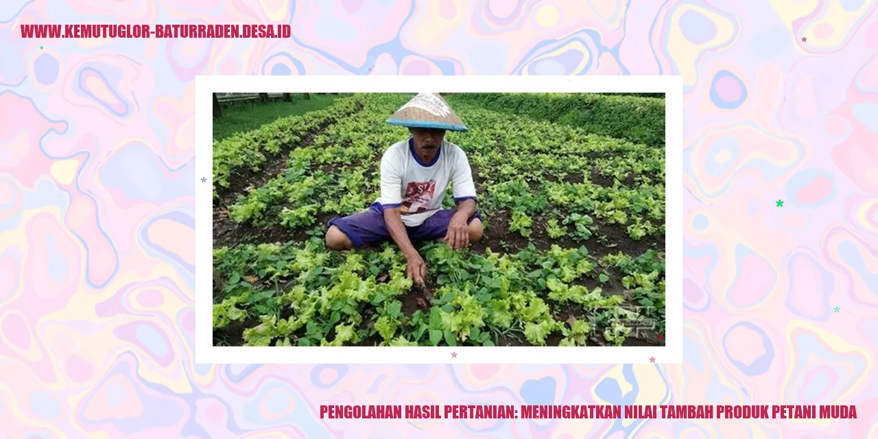 Pengolahan Hasil Pertanian: Meningkatkan Nilai Tambah Produk Petani Muda