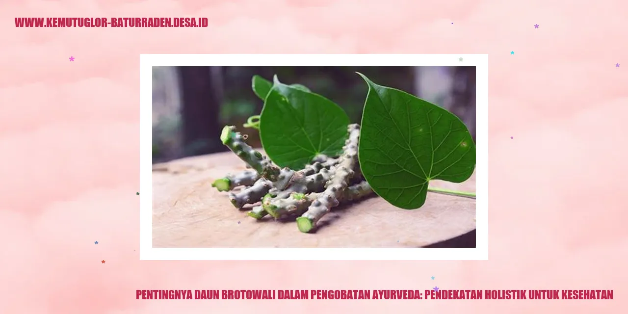 Daun Brotowali