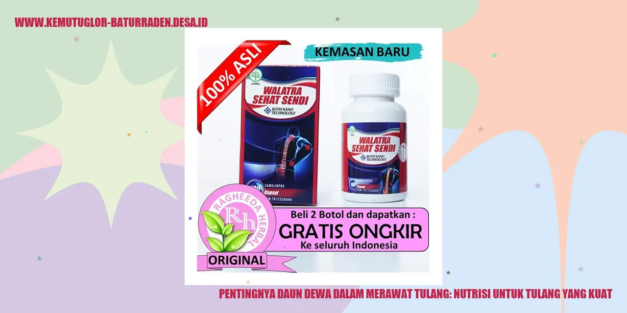 Gambar Daun Dewa