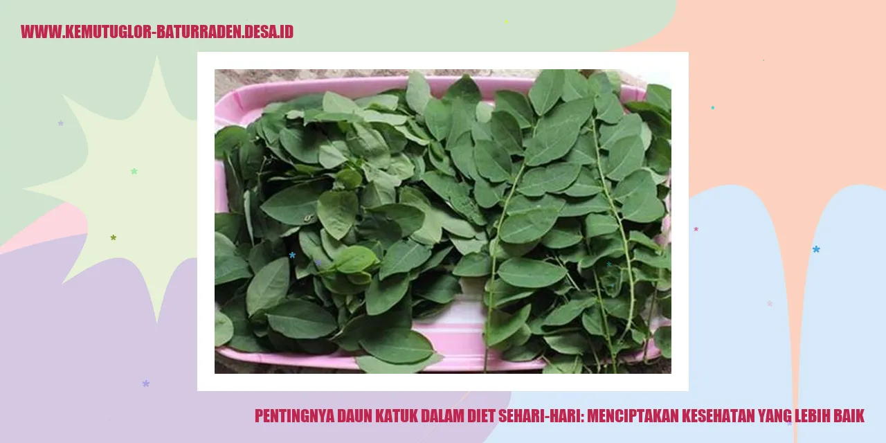 Gambar Daun Katuk