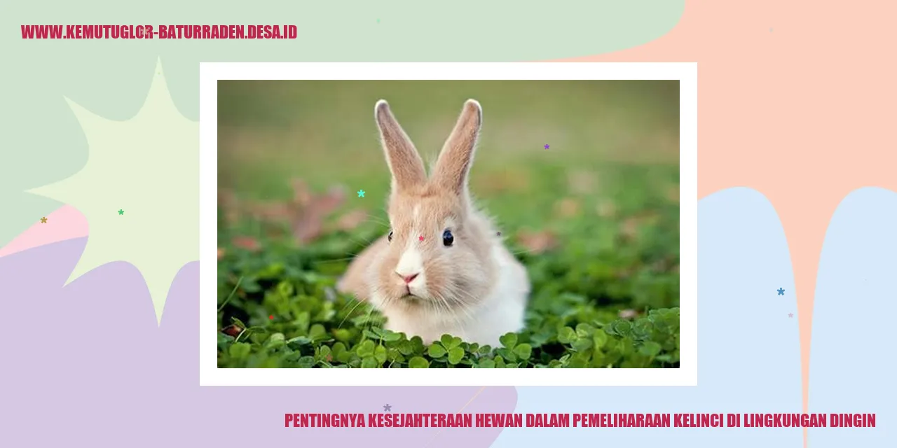 Kelinci di lingkungan dingin