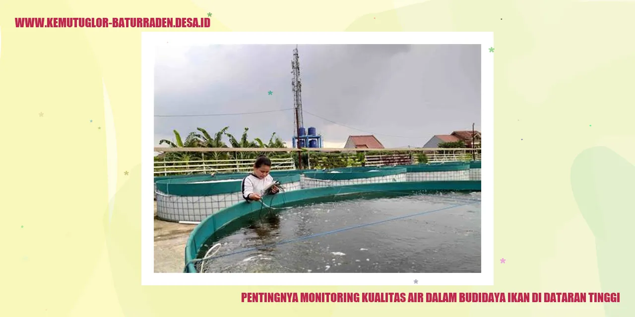 Pentingnya Monitoring Kualitas Air dalam Budidaya Ikan di Dataran Tinggi