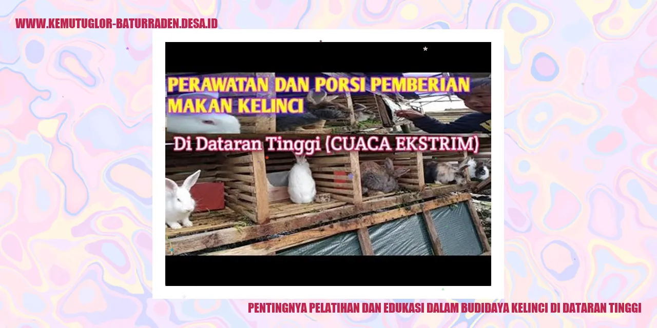 Gambar Budidaya Kelinci
