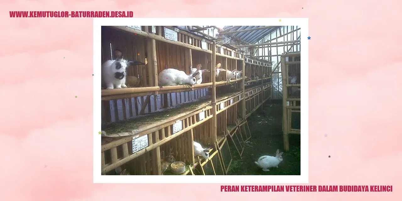 Peran Keterampilan Veteriner dalam Budidaya Kelinci