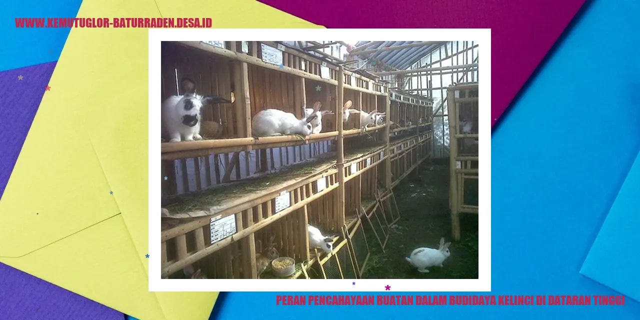 Pencahayaan Buatan dalam Budidaya Kelinci