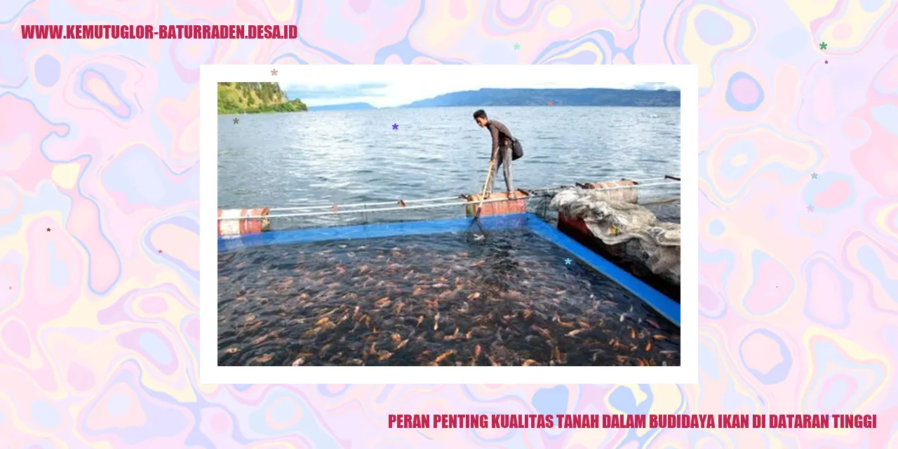 Peran Penting Kualitas Tanah dalam Budidaya Ikan di Dataran Tinggi