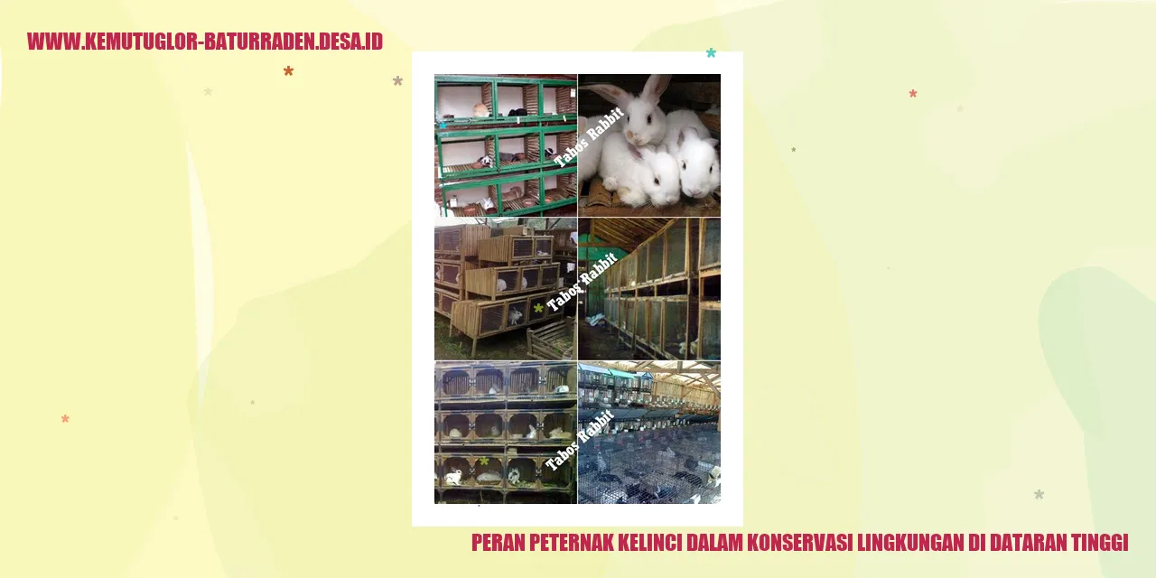 Peternak Kelinci Dalam Konservasi Lingkungan