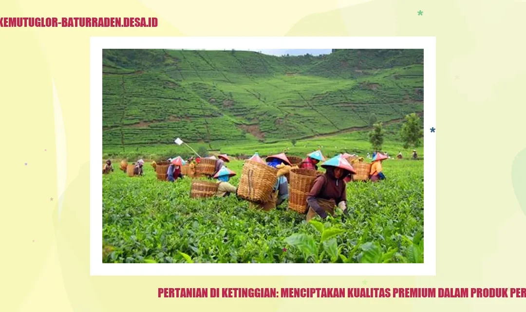 Pertanian di Ketinggian: Menciptakan Kualitas Premium dalam Produk Pertanian