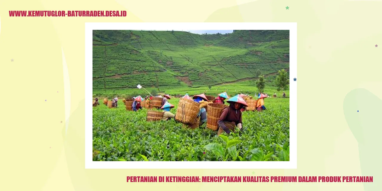Pertanian di Ketinggian: Menciptakan Kualitas Premium dalam Produk Pertanian