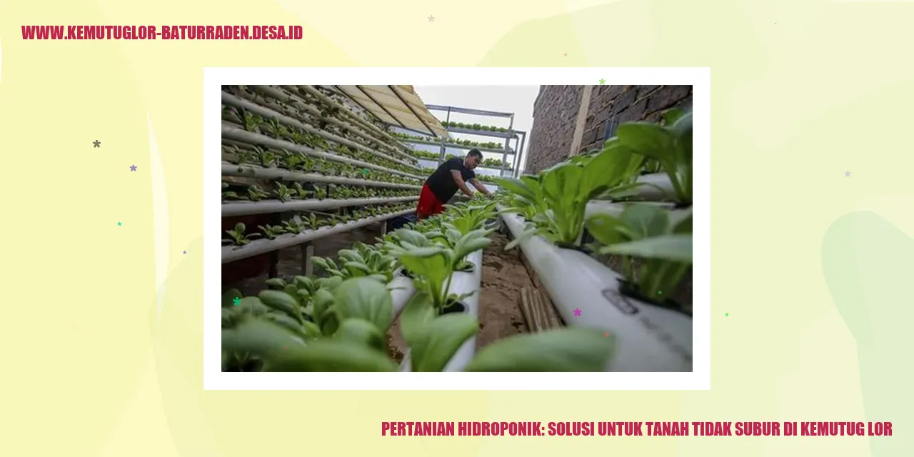 Pertanian Hidroponik