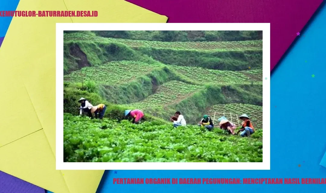 Pertanian Organik di Daerah Pegunungan: Menciptakan Hasil Bernilai Tinggi