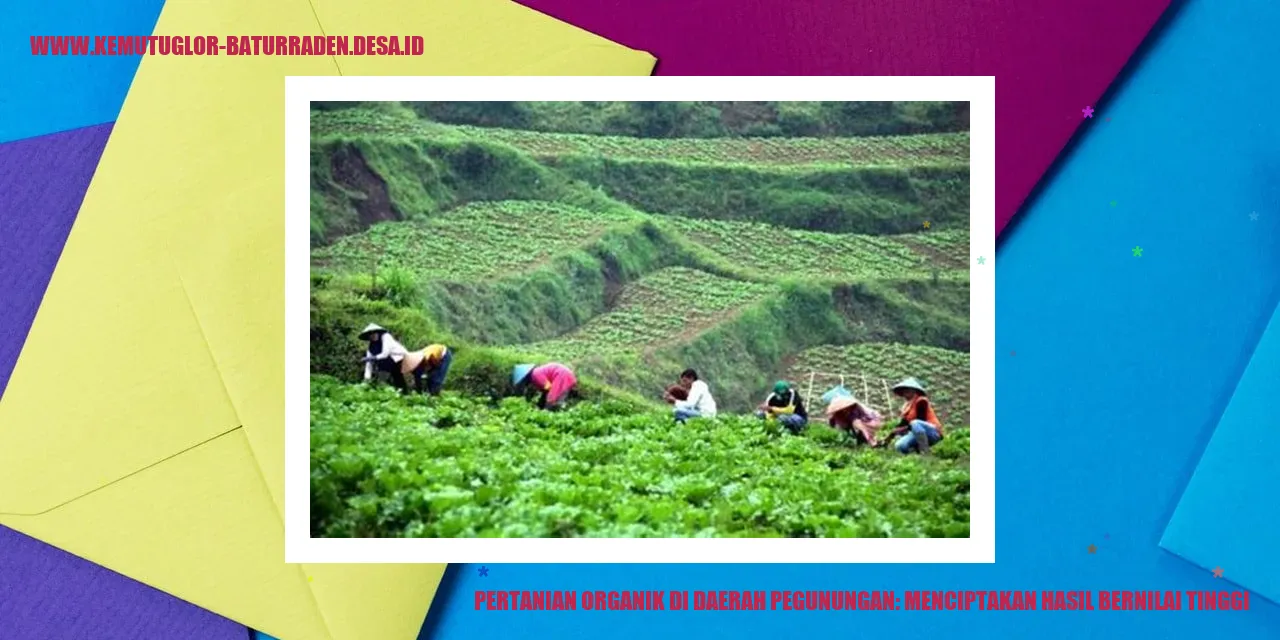 Pertanian Organik di Daerah Pegunungan: Menciptakan Hasil Bernilai Tinggi