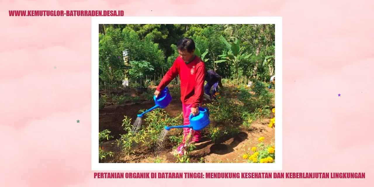 Pertanian Organik di Dataran Tinggi
