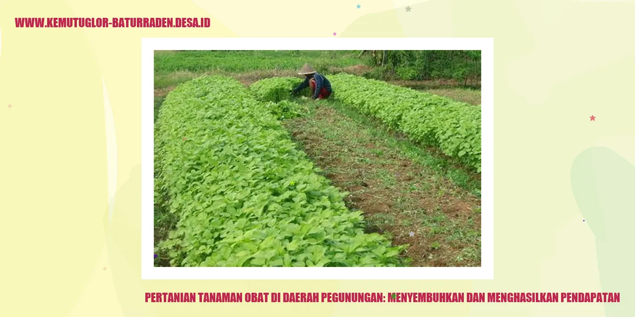 Pertanian Tanaman Obat di Daerah Pegunungan