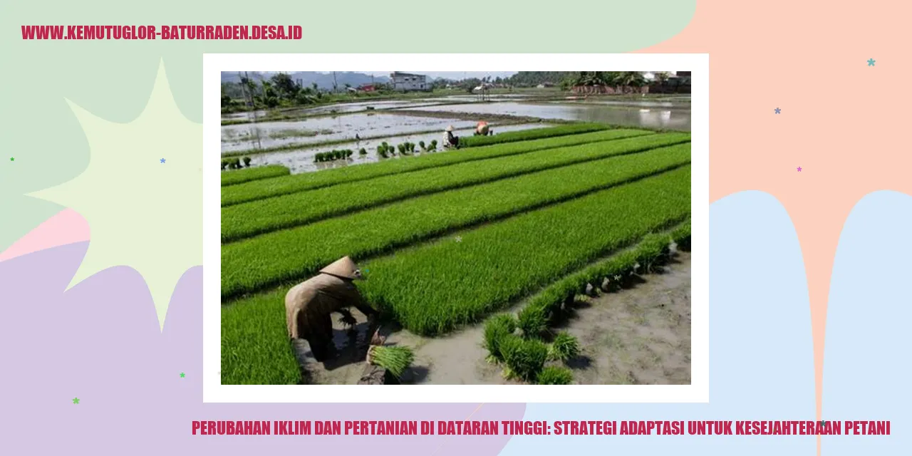 Perubahan Iklim dan Pertanian di Dataran Tinggi: Strategi Adaptasi untuk Kesejahteraan Petani