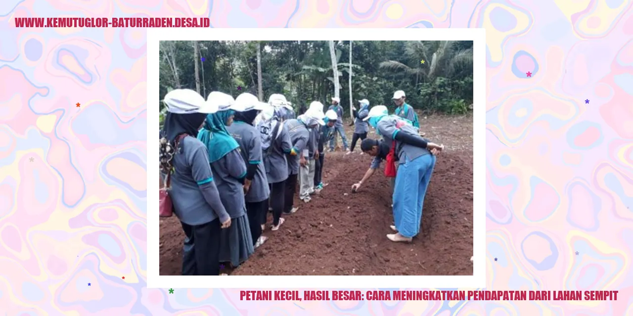 Petani Kecil, Hasil Besar