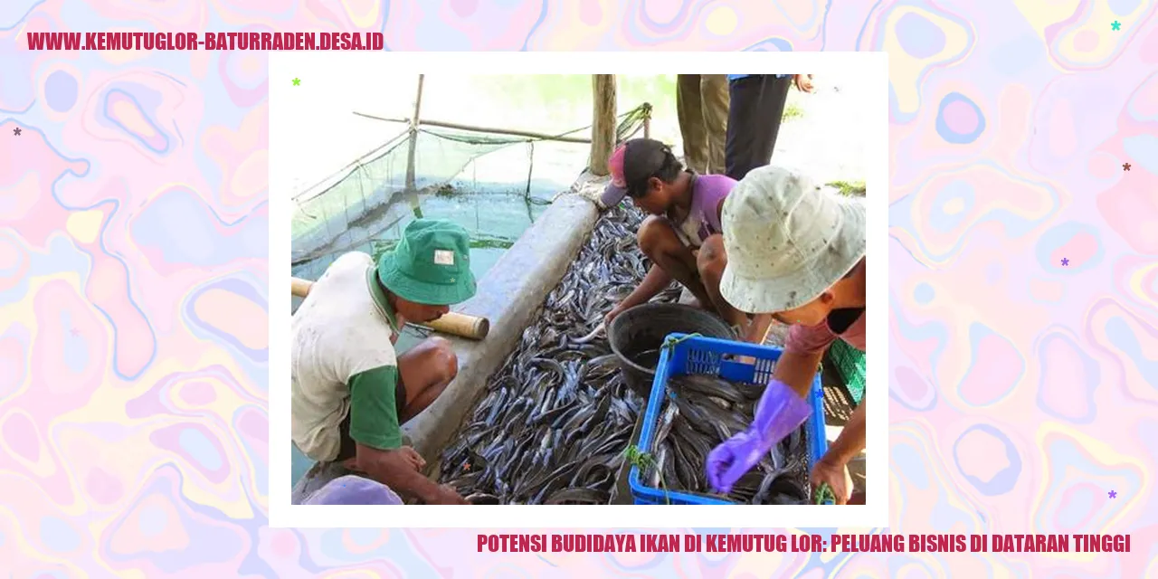 Budidaya Ikan di Kemutug Lor