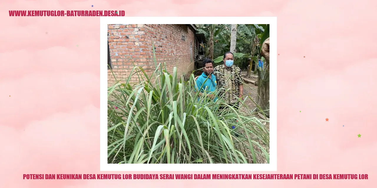 Potensi dan Keunikan Desa Kemutug Lor Budidaya Serai Wangi dalam Meningkatkan Kesejahteraan Petani di desa kemutug lor