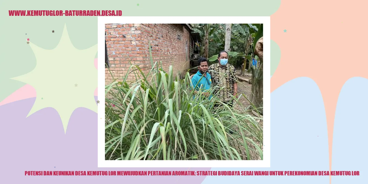 Potensi dan Keunikan Desa Kemutug Lor Mewujudkan Pertanian Aromatik: Strategi Budidaya Serai Wangi untuk Perekonomian Desa Kemutug Lor