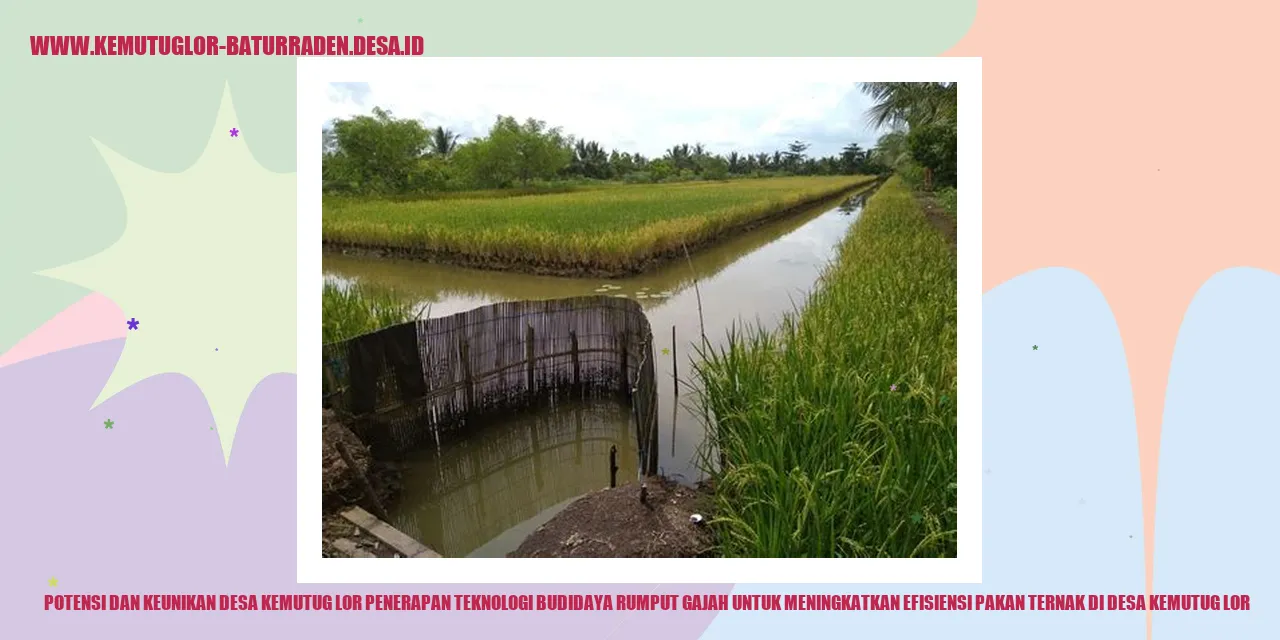 Potensi dan Keunikan Desa Kemutug Lor