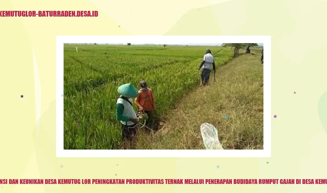 Peningkatan Produktivitas Ternak dengan Budidaya Rumput Gajah di Kemutug Lor