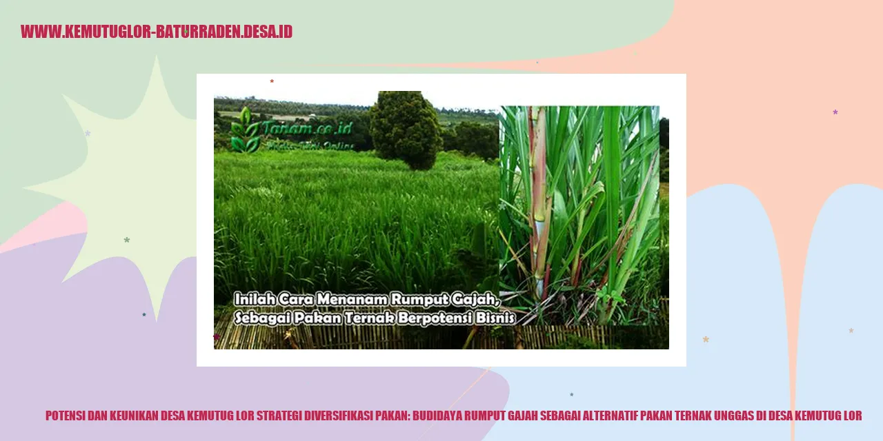 Potensi dan Keunikan Desa Kemutug Lor