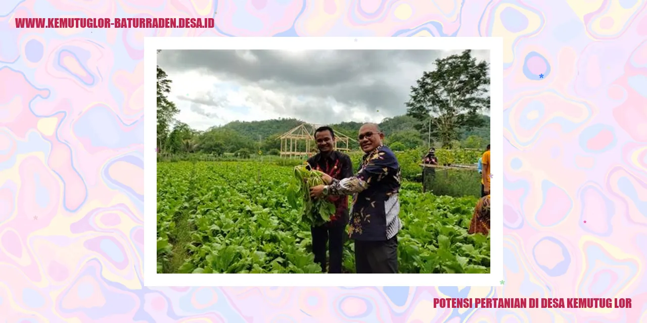Potensi Pertanian di Desa Kemutug Lor