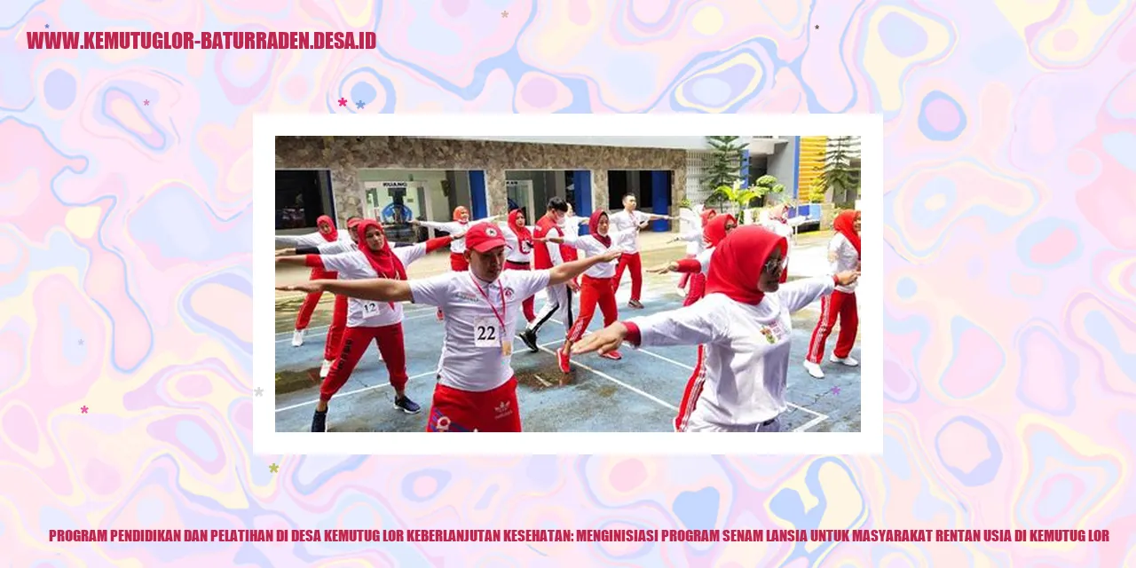 Program Senam Lansia