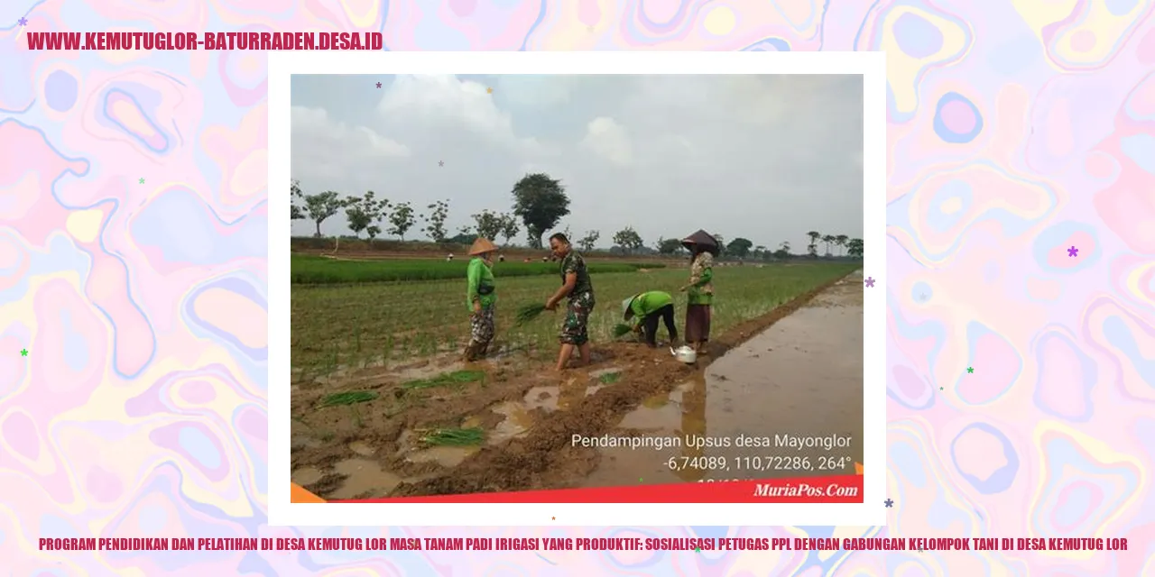 Sosialisasi Petugas PPL dengan Gabungan Kelompok Tani di Desa Kemutug Lor