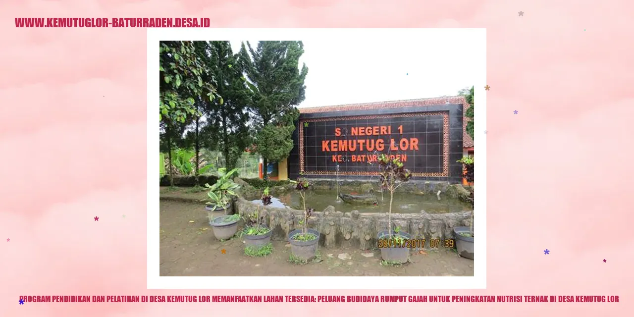 Budidaya Rumput Gajah di Desa Kemutug Lor