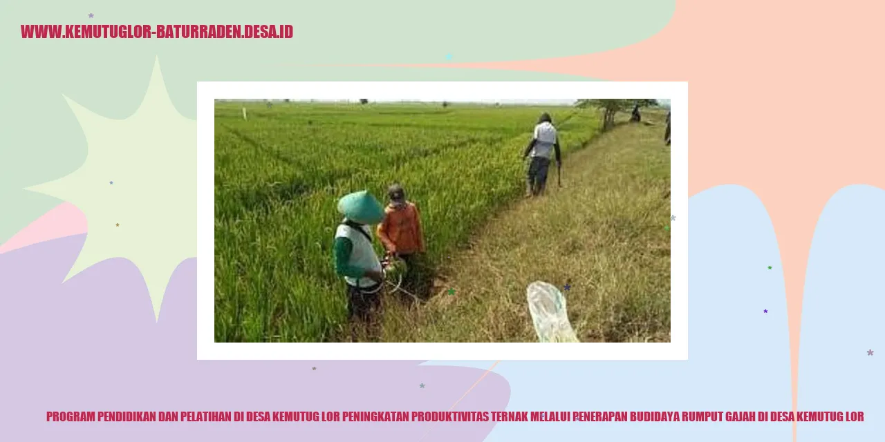 Program Pendidikan dan Pelatihan di Desa Kemutug Lor Peningkatan Produktivitas Ternak Melalui Penerapan Budidaya Rumput Gajah di desa kemutug lor