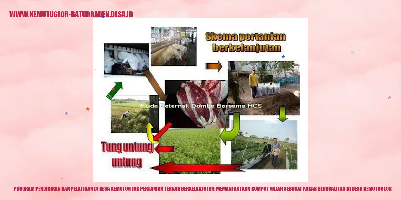 Program Pendidikan dan Pelatihan di Desa Kemutug Lor Pertanian Ternak Berkelanjutan: Memanfaatkan Rumput Gajah sebagai Pakan Berkualitas di Desa Kemutug Lor