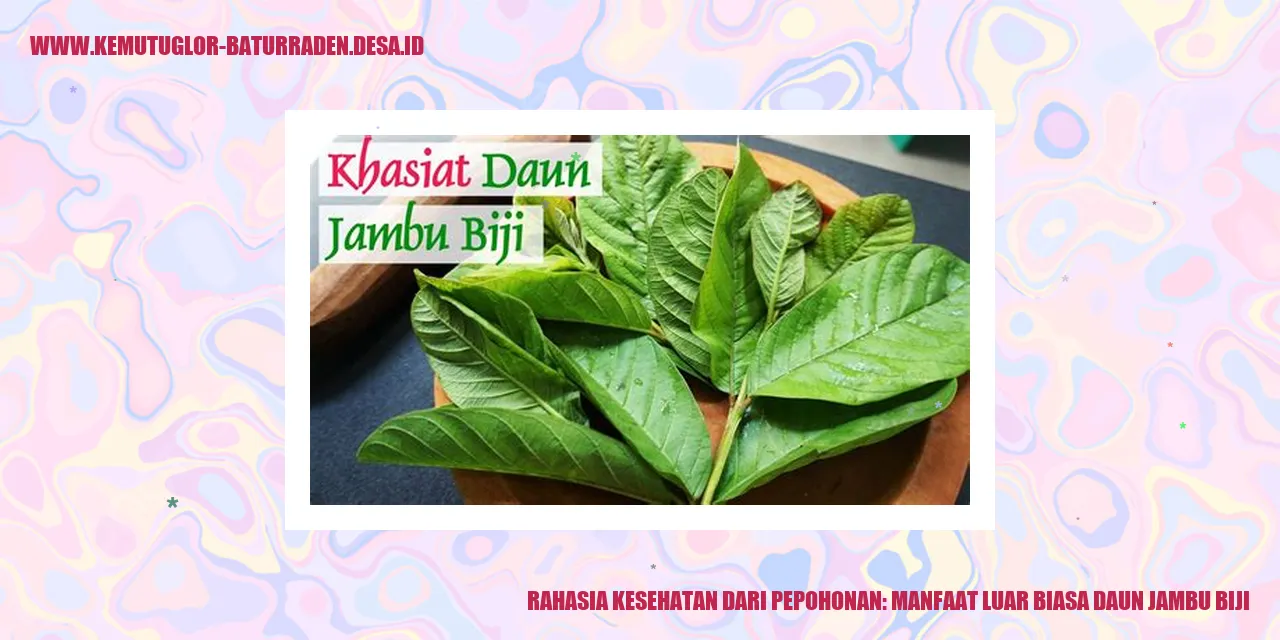 Daun Jambu Biji