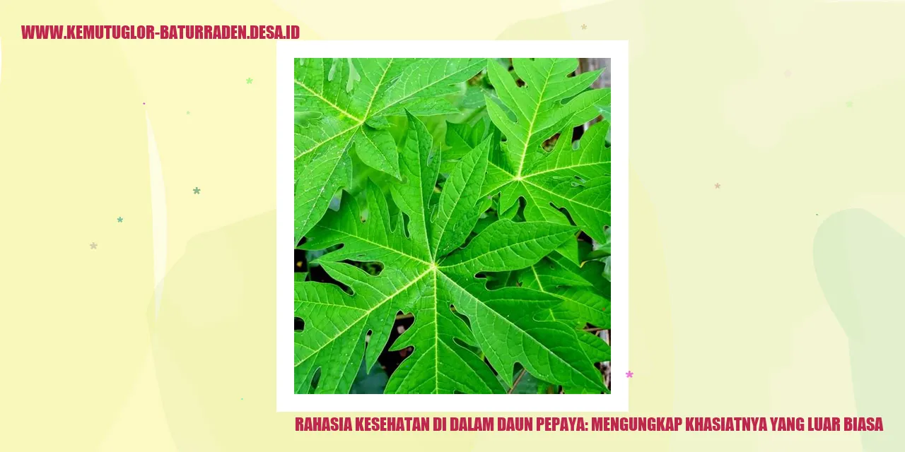 Daun Pepaya