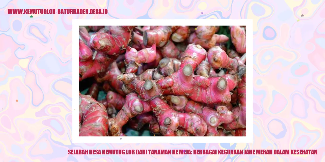 Gambar Jahe Merah