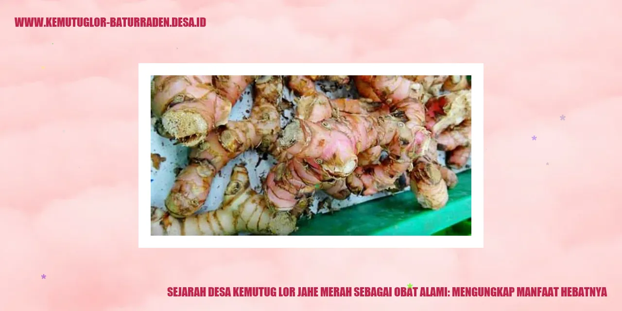 Jahe Merah