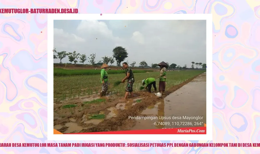 Sosialisasi PPL dan Gabungan Kelompok Tani Masa Tanam Padi
