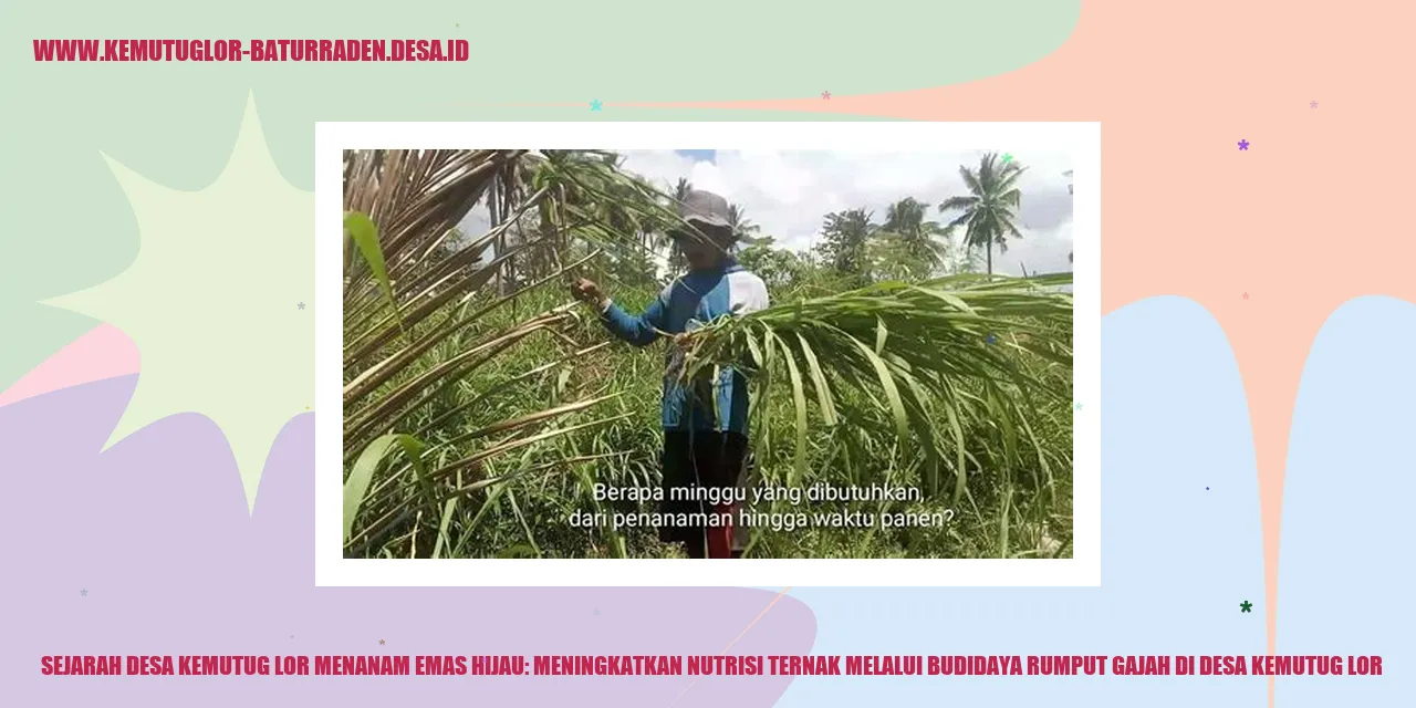 Gambar Desa Kemutug Lor