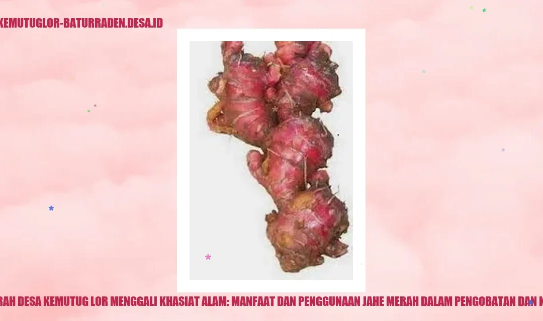 Manfaat Alami Jahe Merah dalam Medis dan Kuliner