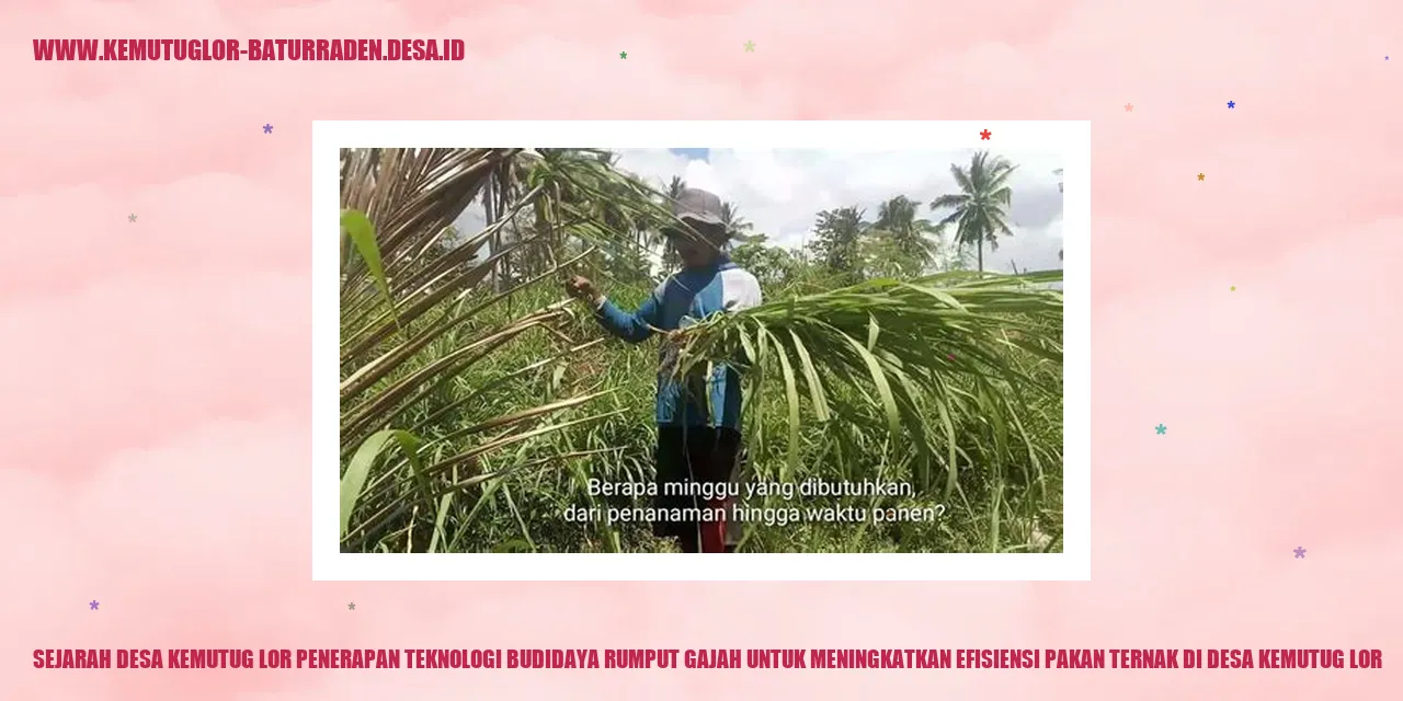 Gambar Desa Kemutug Lor